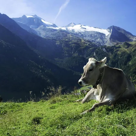 Pirchach Aschau Im Zillertal